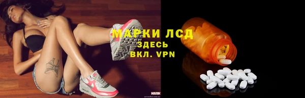 сатива Белокуриха