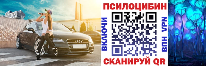 Галлюциногенные грибы мицелий  Купить где  Нижнеудинск 